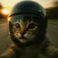 解説者